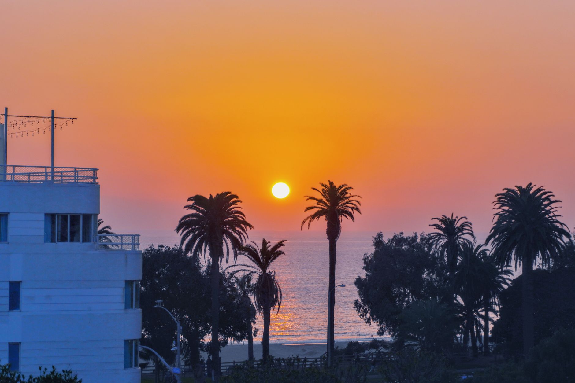 A beautiful sunset over Santa Monica beach with silhouetted palm trees and a vivid orange sky